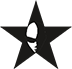 Logo Icona