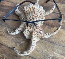 Hodnocení od Ivan K.