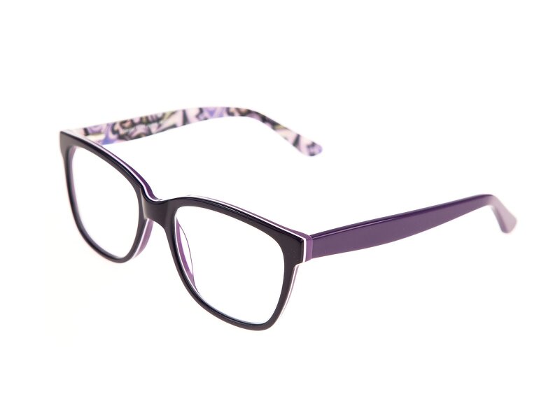Chrpa purple