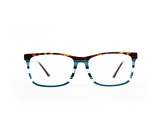 Loris blue - 5