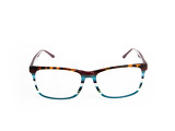 Loris blue - 2