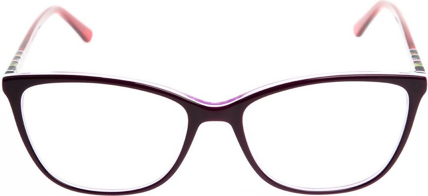 Canada violet - 1