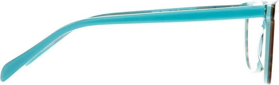Myrica blue - 2