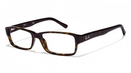 Ray Ban RB5169 2012