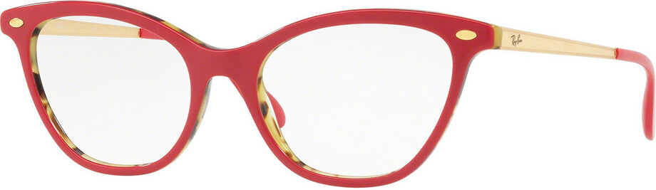 Ray Ban RB5360 5714 OptikDoDomu.cz