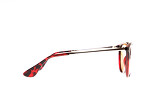 Icona Barsa brown - 4
