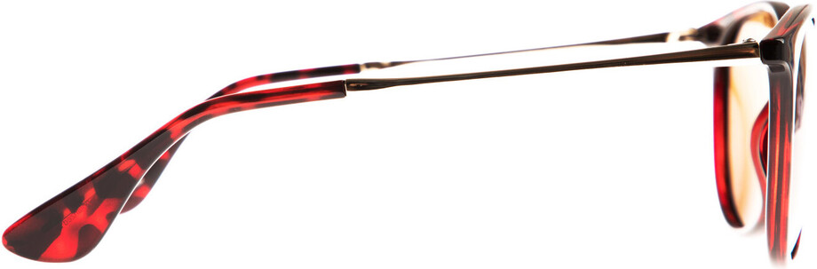 Icona Barsa brown - 4