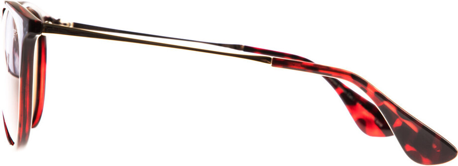 Icona Barsa brown - 3