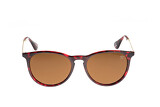 Icona Barsa brown - 5