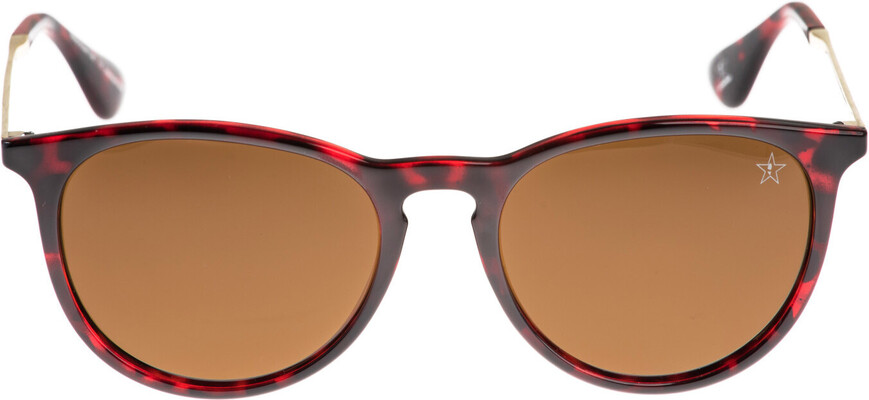 Icona Barsa brown - 5