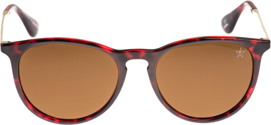Icona Barsa brown - 5