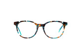 Pingo blue - 6