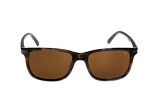 Icona Sambro brown - 3
