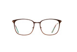 Palmer brown - 1