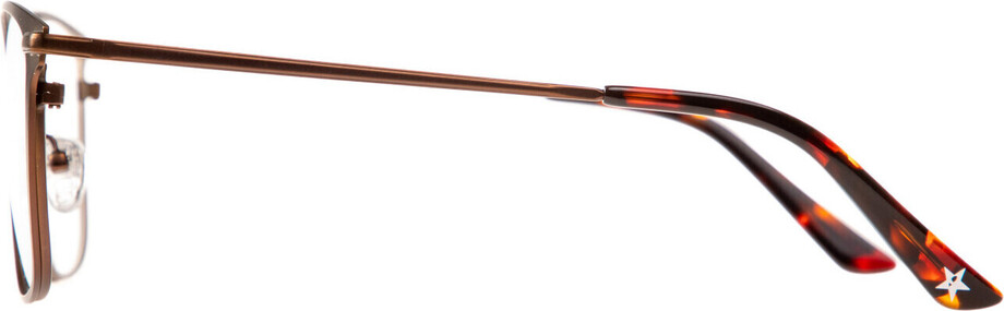Palmer brown - 2