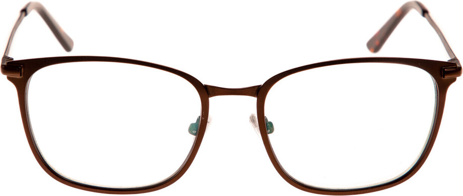 Palmer brown - 4