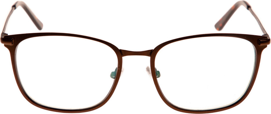 Palmer brown - 4