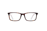 Gambier brown - 1