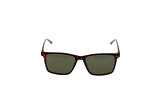 Nelson red - 6