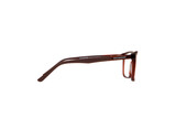 Albion brown - 3