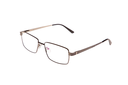 Jabiru grey