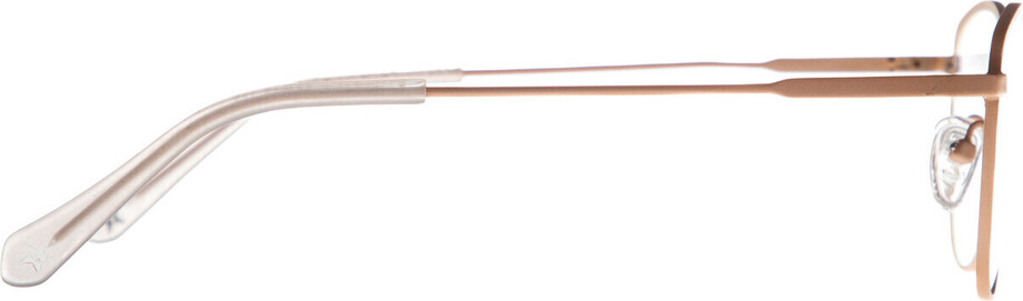 Sesia beige - 3