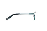 Sesia green - 3