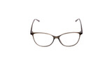 Lanceria grey - 3