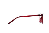 Lanceria grey - 6