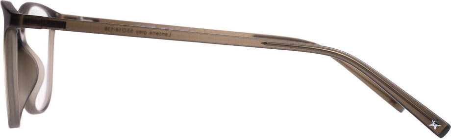 Lanceria grey - 4