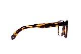 Linden brown - 5