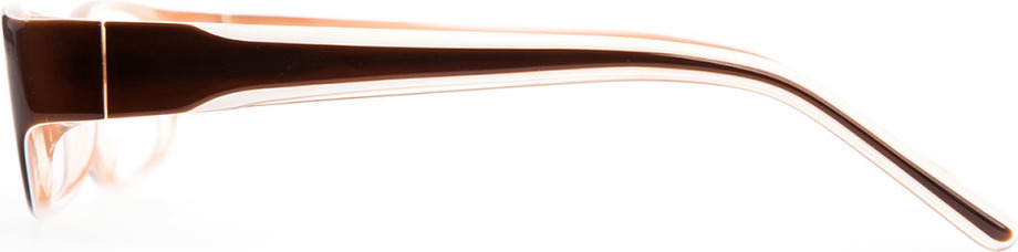Apus brown - 2